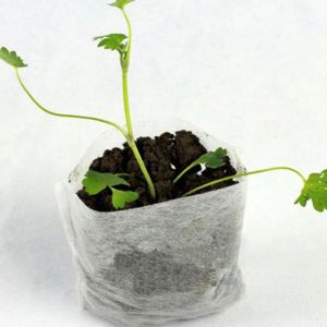 Seedling raising cloth