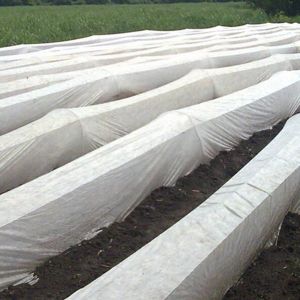 Seedling raising cloth